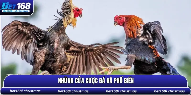 Có 3 cửa cược để bạn lựa chọn xuống tiền